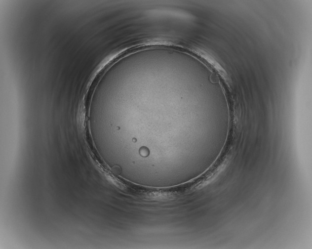 X0000116860933200912221136
