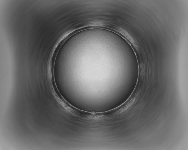 X0000116860939200912221136
