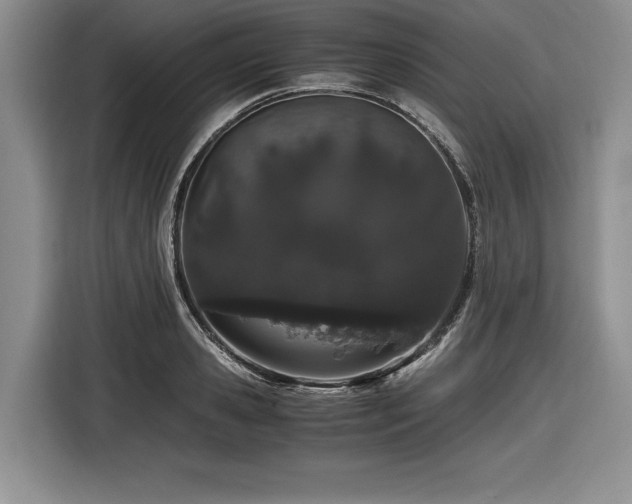 X0000116860941200912221136