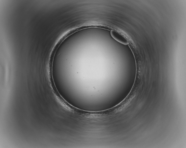 X0000116860942200912221136