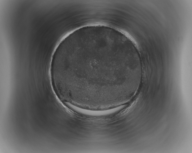 X0000116860943200912221136
