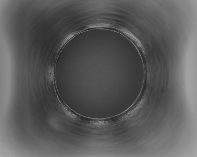 X0000116860945200912221136