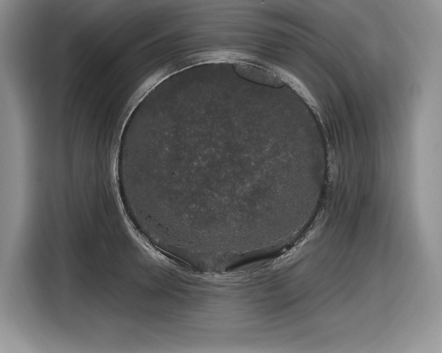 X0000116860946200912221136