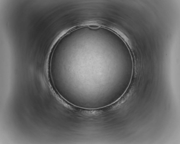 X0000116860949200912221136