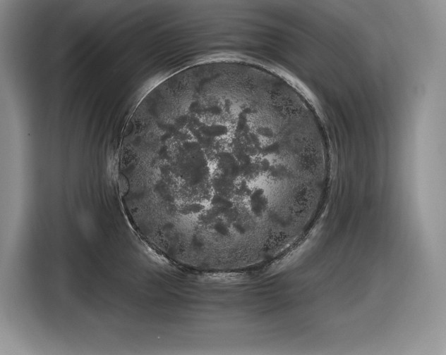 X0000116860953200912221136
