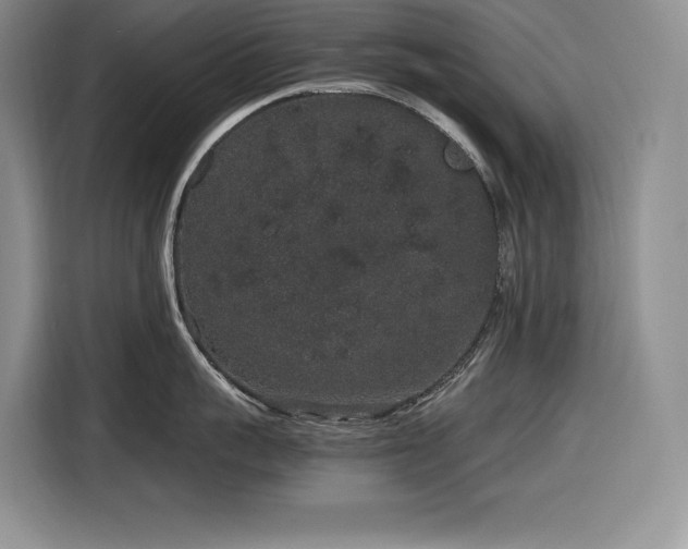 X0000116860959200912221136