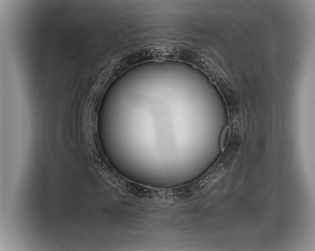 X0000116860961200912221135