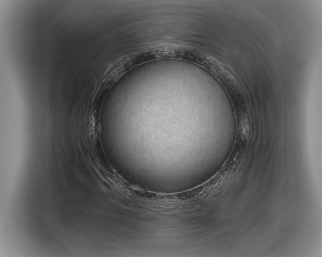 X0000116860964200912221135