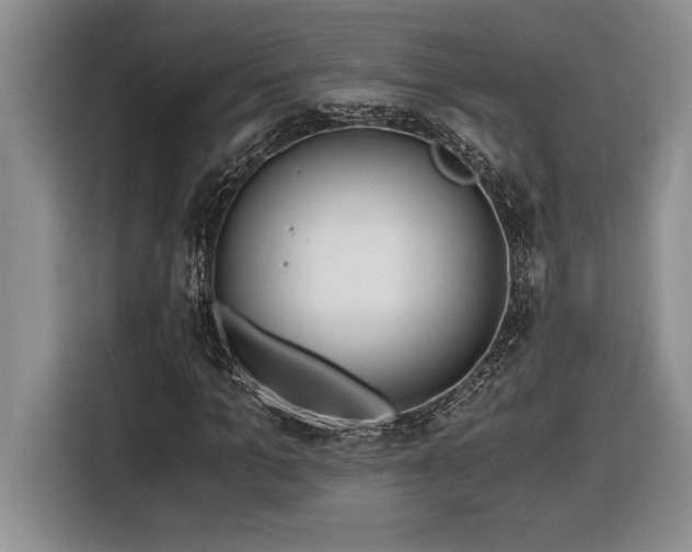 X0000116860965200912221135