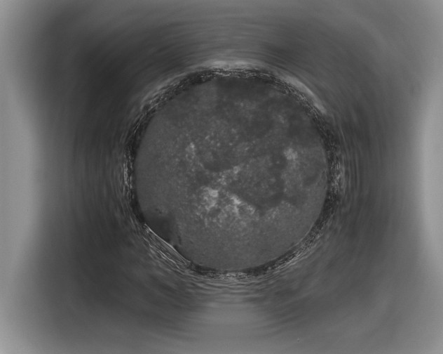 X0000116860966200912221135