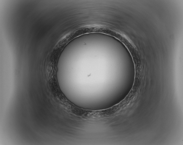 X0000116860967200912221135