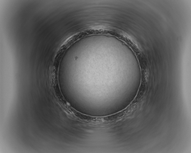 X0000116860968200912221135