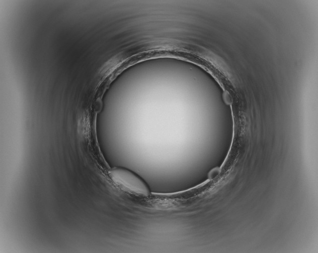 X0000116860969200912221135