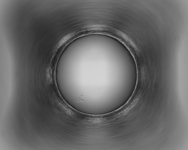 X0000116860970200912221135