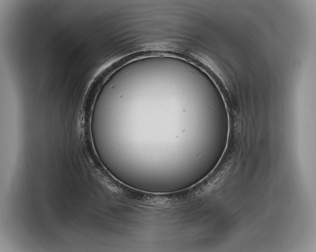 X0000116860971200912221135