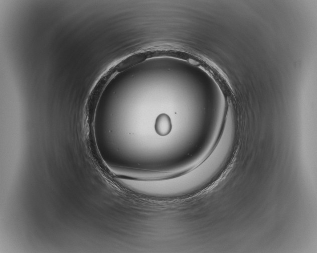 X0000116860973200912221135