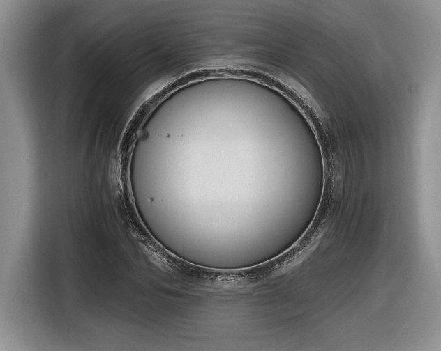 X0000116860974200912221135
