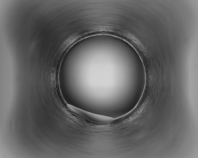 X0000116860977200912221135