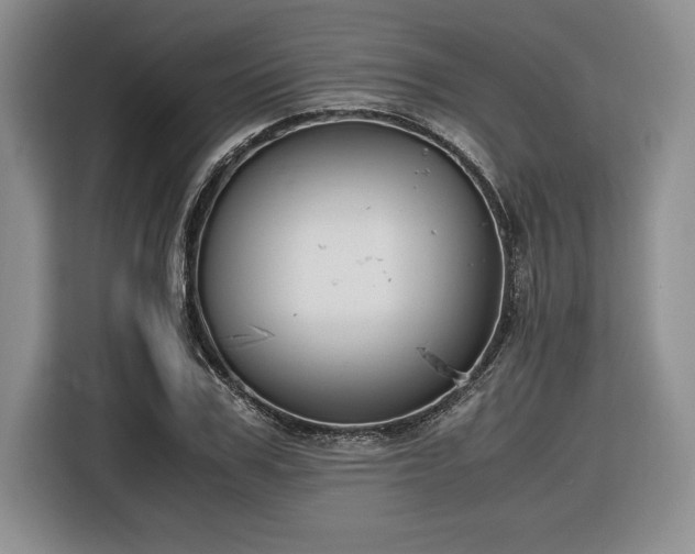 X0000116860979200912221135