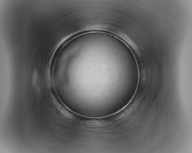 X0000116860980200912221135