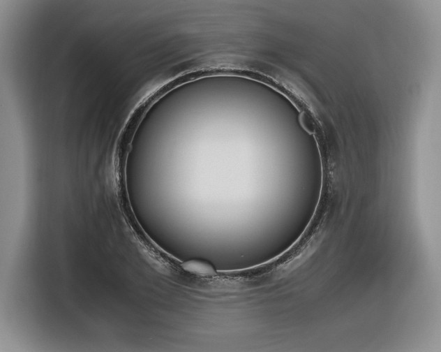 X0000116860981200912221135