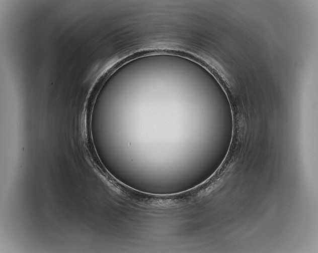 X0000116860982200912221135
