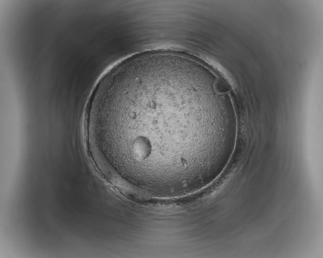 X0000116860983200912221135