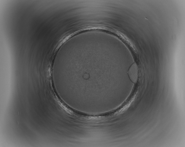 X0000116860985200912221135