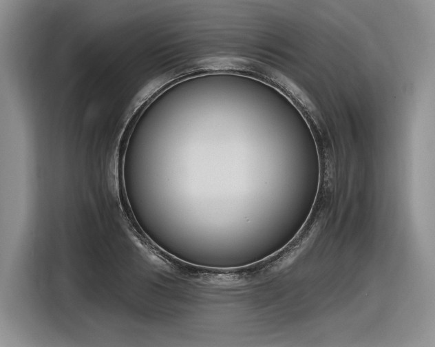 X0000116860986200912221135
