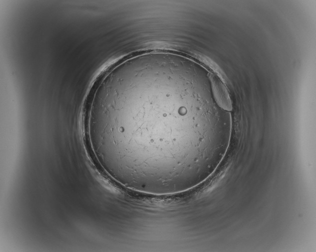 X0000116860987200912221135