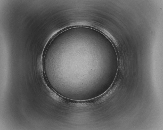 X0000116860988200912221135