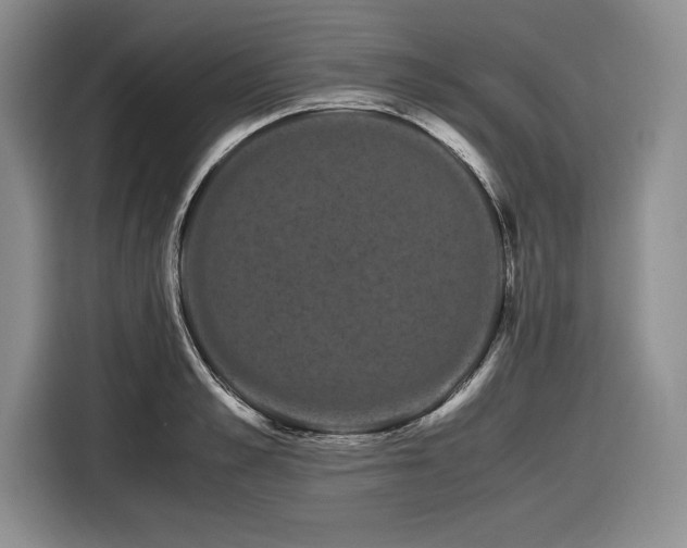 X0000116860989200912221135