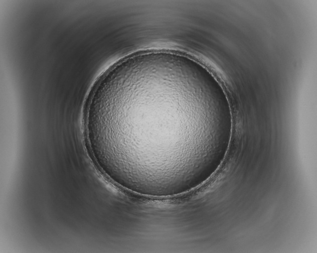 X0000116860990200912221135