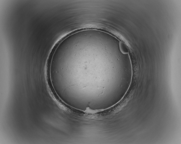 X0000116860991200912221135