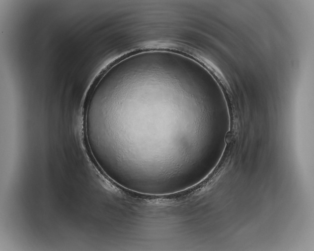 X0000116860992200912221135