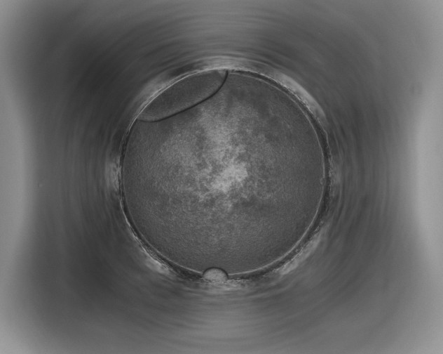 X0000116860993200912221135