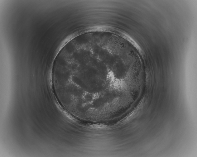 X0000116860994200912221135