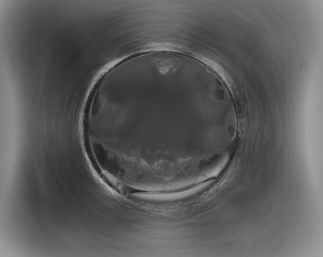 X0000116860995200912221135