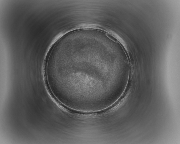 X0000116860997200912221135