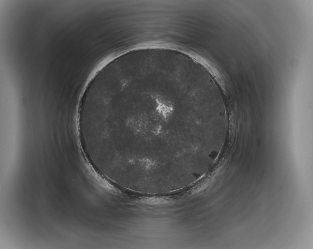 X0000116860998200912221135