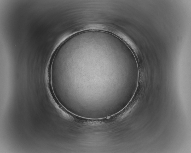 X0000116860999200912221135