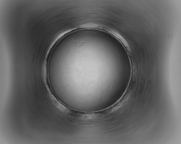 X0000116861000200912221135
