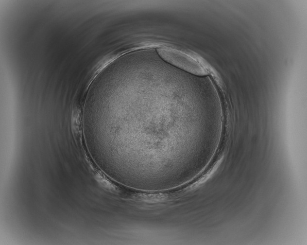 X0000116861001200912221135