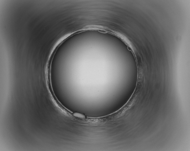 X0000116861003200912221135
