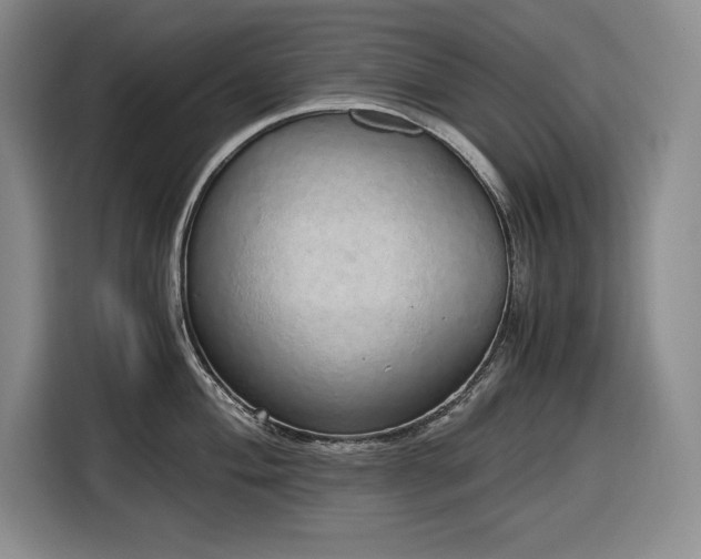 X0000116861004200912221135