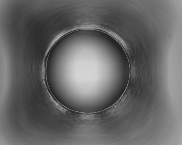 X0000116861006200912221135
