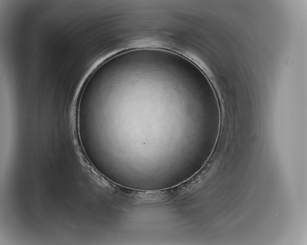 X0000116861008200912221135