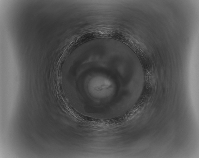 X0000116861009200912221134