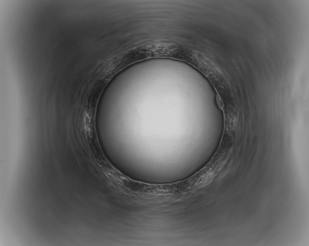X0000116861010200912221134