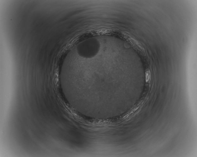 X0000116861011200912221134